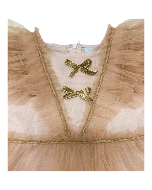 Sugar Plum Tutu Dress