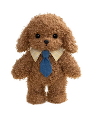 Plush Teddy Bear Stuffed Toy with Assorted Outfit
