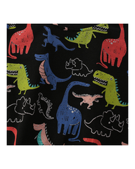 Dino Fun Facts Sweatshirt