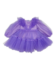 Sugar Plum Tutu Dress