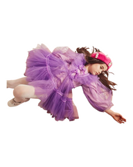 Sugar Plum Tutu Dress