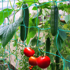 Green Garden Net for Climbing Plants