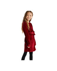 Soft Elegant Velvet Dress