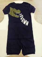 Playful Dino Baby T-shirt and Shorts Sets