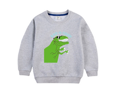 Dinosaur Sweatshirt