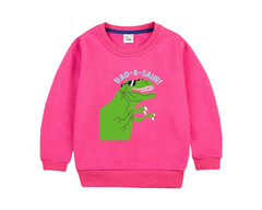 Dinosaur Sweatshirt