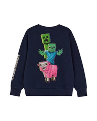 Minecraft Graphic Kids Crewneck Sweatshirt