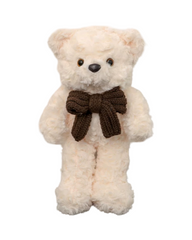 Plush Teddy Bear Stuffed Toy with Assorted Outfit