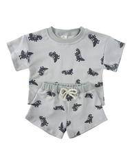 Patterned Dark Coloured T-Shirt and Shorts Set