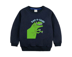 Dinosaur Sweatshirt