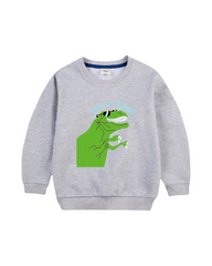 Kids Dinosaur Print Cozy Long Sleeve Pullover Sweatshirt