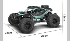 Remote Control Outdoor Speedy Car