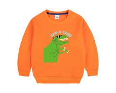 Dinosaur Sweatshirt