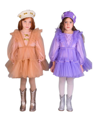 Sugar Plum Tutu Dress