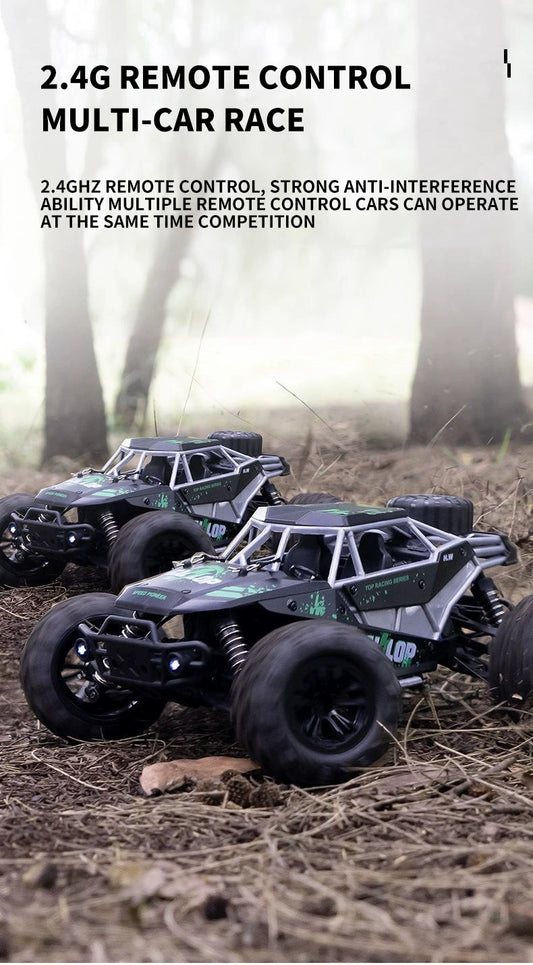 Remote Control Outdoor Speedy Car