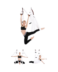 Air Yoga Swing Aerial Hammock