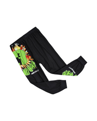 Minecraft Creeper Graphic Boys Clothing Set Sweatshirt and Joggers