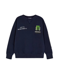 Minecraft Graphic Kids Crewneck Sweatshirt