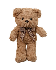 Plush Teddy Bear Stuffed Toy with Assorted Outfit